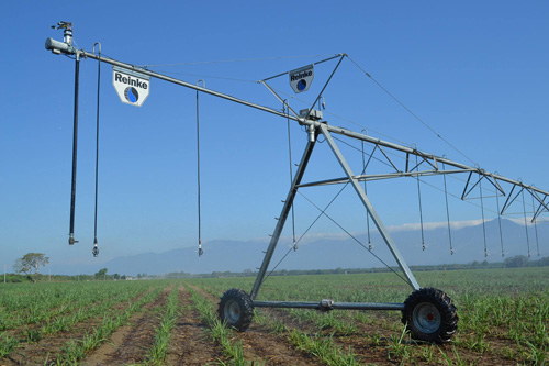 Authorised Reinke Pivot Dealer Western Australia